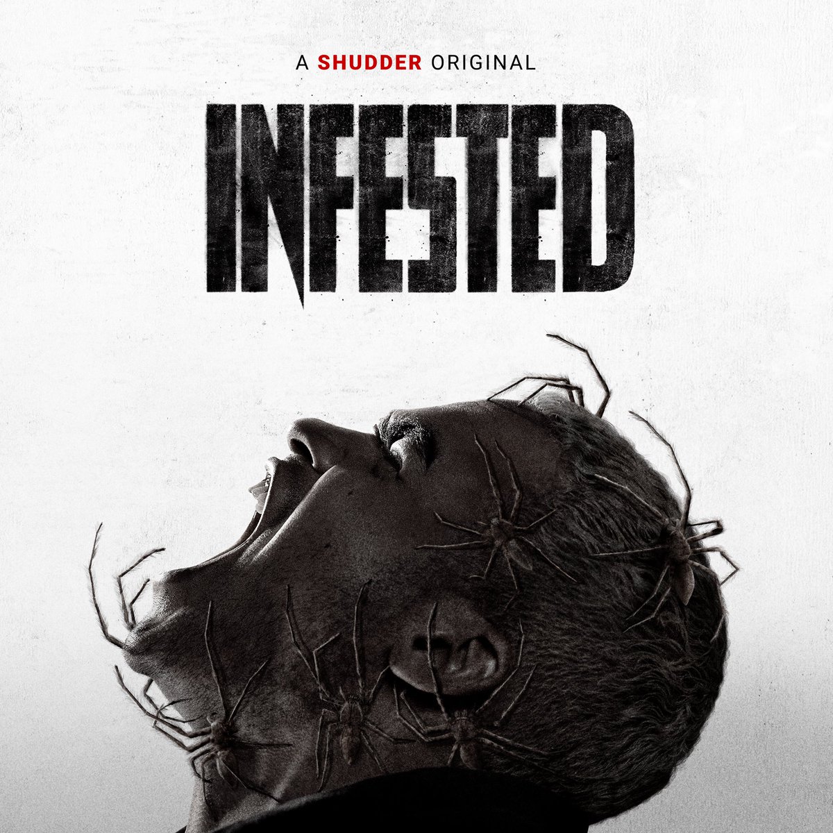 Neighbors witness a nightmare unfold as venomous spiders overrun the premises. Can they stop the spread in time? 🕷️ INFESTED is now streaming on Shudder.