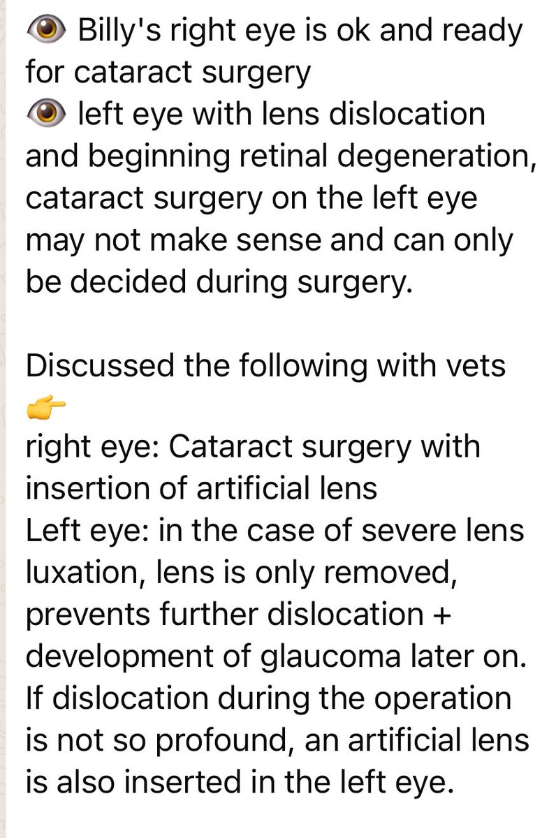 On his eyes basically one will be fixed tomorrow all being well and other they will decide when they start the operations. He has the very best medical care in the country either way. I’d love them both to be fixed but one will be a great start 🤞 (3/4)