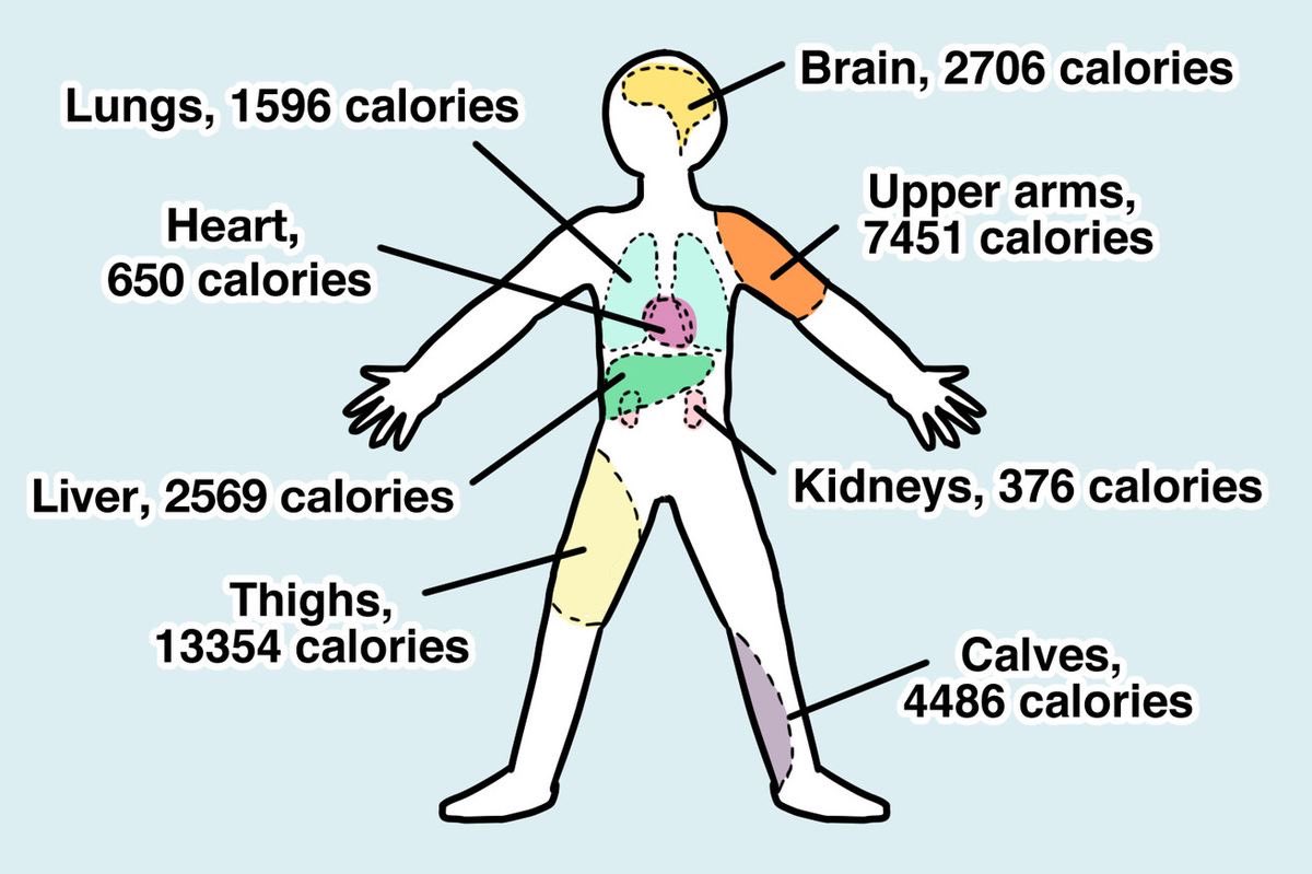 kidney omad?