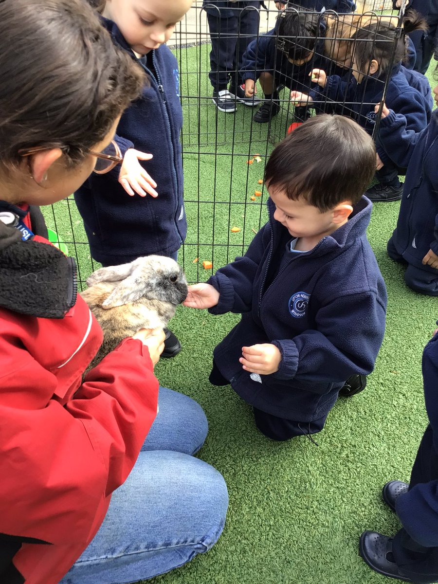 Upton Pre-Nursery (@uptonprenursery) on Twitter photo What an amazing experience Pre-Nursery had this week with a visit from the farm! It was an amazing day for all of Pre-Nursery (staff included) with so much excitement and love for the lovely animals.
See you soon animals!
<a href="/UptonHead/">Rhian Thornton</a>
#PreNursery
#FarmVisit What an amazing experience Pre-Nursery had this week with a visit from the farm! It was an amazing day for all of Pre-Nursery (staff included) with so much excitement and love for the lovely animals.
See you soon animals!
<a href="/UptonHead/">Rhian Thornton</a>
#PreNursery
#FarmVisit