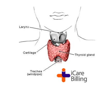 Laryngeal cancer is a disease in which malignant cells form in the tissues of the larynx. The larynx is a part of the throat between the base of the tongue and the trachea. The larynx contains the vocal cords which vibrate and make sound.    
#icarebilling, the best #RCM Company