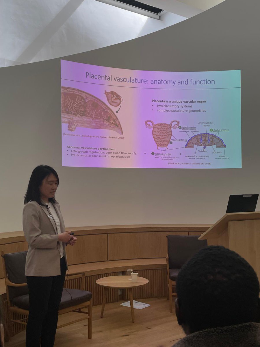 I’m very delighted to present our new findings in placental vasculature in our inaugural WRH Science Forum. @Ox_wrh #BreakingBoundaries, #womenshealth, #reproductivehealth.