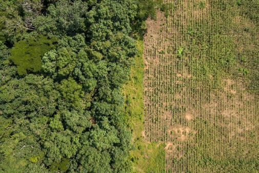 Study shows conservation actions are effective at halting & reversing biodiversity loss. A positive, can-do approach to conservation can ensure that people and the natural world can grow together into the future. york.ac.uk/news-and-event…