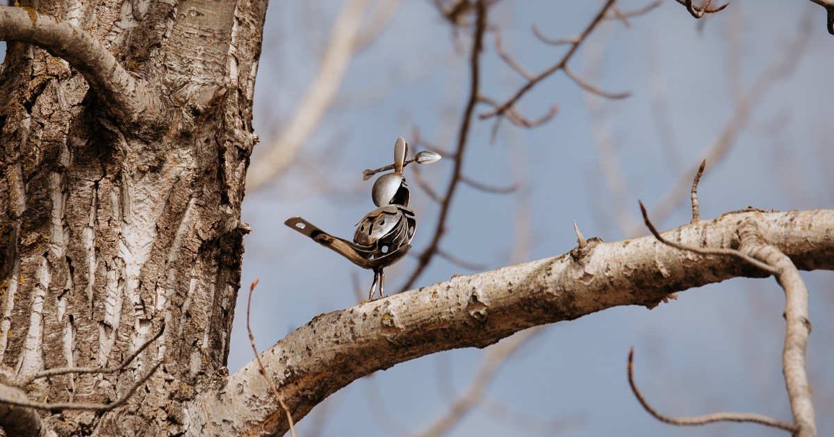 Our magpie sculpture collection is expanding with 3 new additions, created by artist David Mcauley! Find all 6 sculptures, guided by the Magpies of Stony brochure. Pick up a copy from Town Office, the Visitor Centre or at ow.ly/aLmK50R9IVO. More at ow.ly/1jS650R9IVP