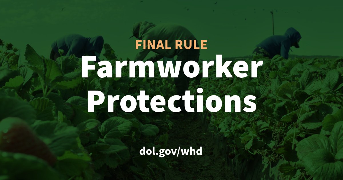 Our food supply relies on farmworkers, including hundreds of thousands on H-2A visas. Our new final rule strengthens protections that will benefit workers under the H-2A program and all farmworkers. (1/2)