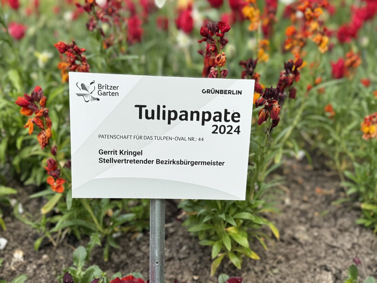 Tulipan im Britzer Garten - Berlins größte Tulpenschau in #Neukölln Die bekannteste Bedeutung von Tulpen ist die vollkommene und tiefe Liebe 🫶 #Berlin