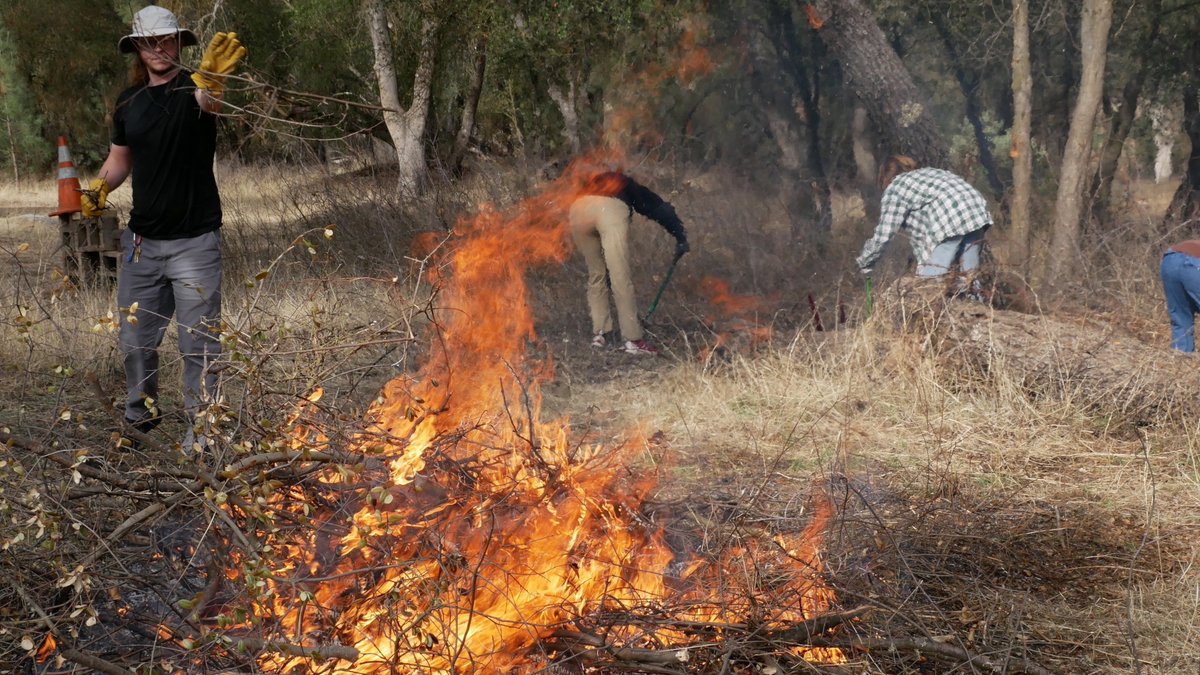 To bring more water to the landscape — and fight the growing risk of catastrophic wildfires — a Tribe in California helps to reshape fire management policy. therevelator.org/fire-for-water…