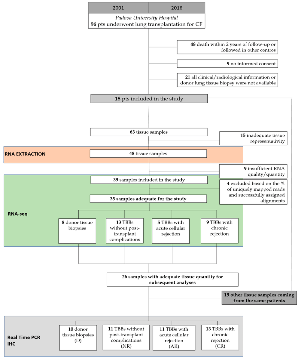 #HighlyAccessedPaper Read now ➡️ 'Molecular Profiling of Tissue Samples with Chronic Rejection from Patients with Chronic Lung Allograft Dysfunction: A Pilot Study in Cystic Fibrosis Patients' by Federico Rea, et al. 👉 brnw.ch/21wJdk9