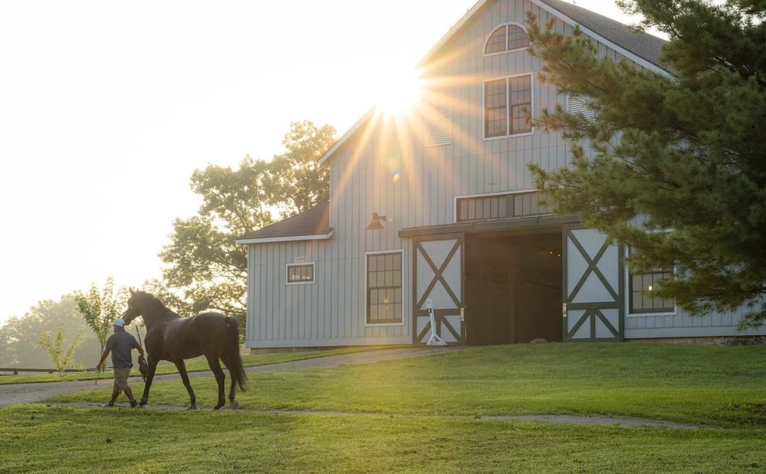 The best days are those shared with your horse. #Regram #AriatEq

PC: IG @ kyhorsepark