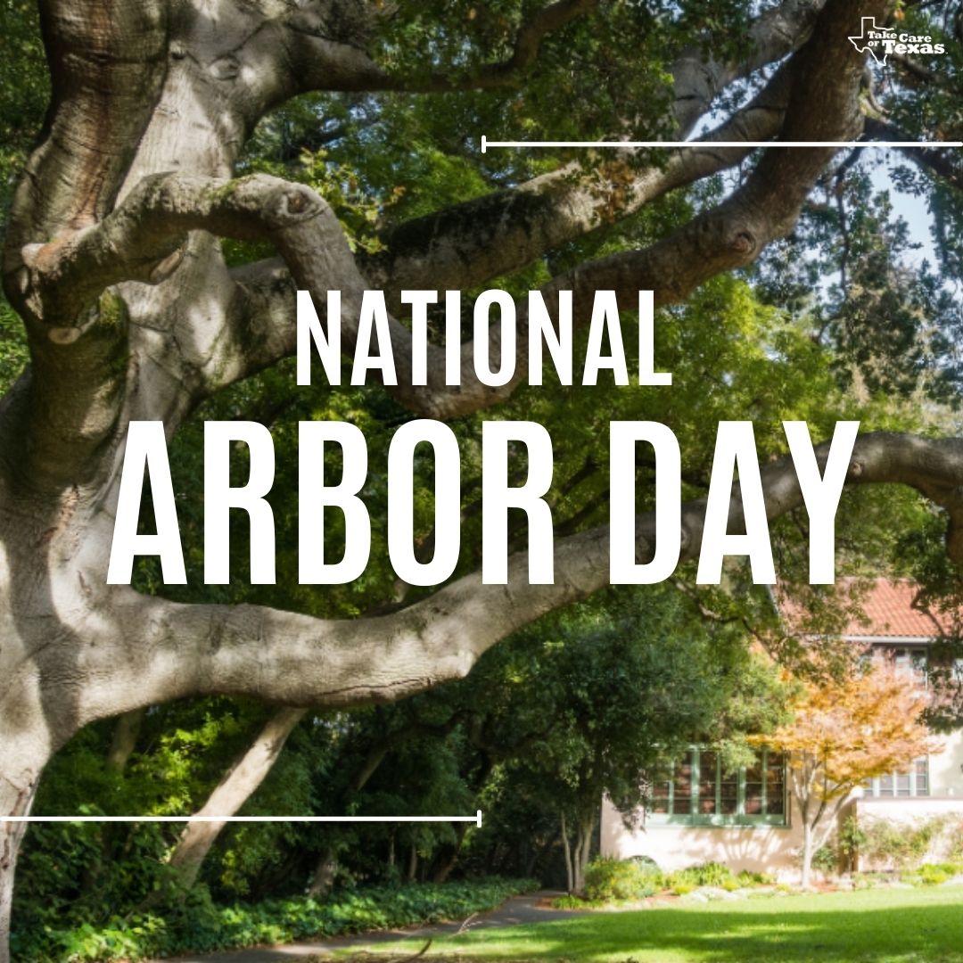 Today is National Arbor Day! 🌳🌲 While Texas also celebrates Arbor Day in November, it's still a great time to talk about the benefits of trees. Check out the many ways planting native trees can help your home. 👉 loom.ly/6NUHpcY