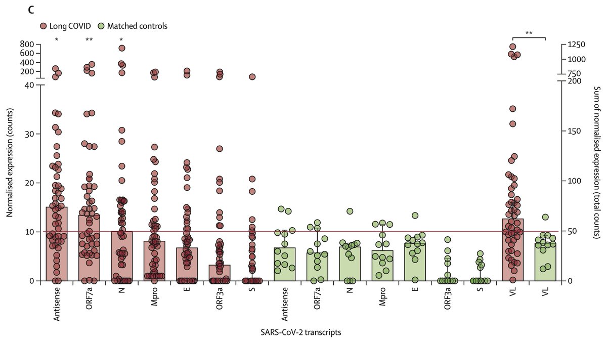 The #SARSCoV2 viral RNA signature in people with #LongCovid markedly differs vs controls thelancet.com/journals/lanmi… @LancetMicrobe Also linked to symptoms. Not only indicative of persistence, but also potential as a biomarker @johanvawe @jamoulle @KU_Leuven