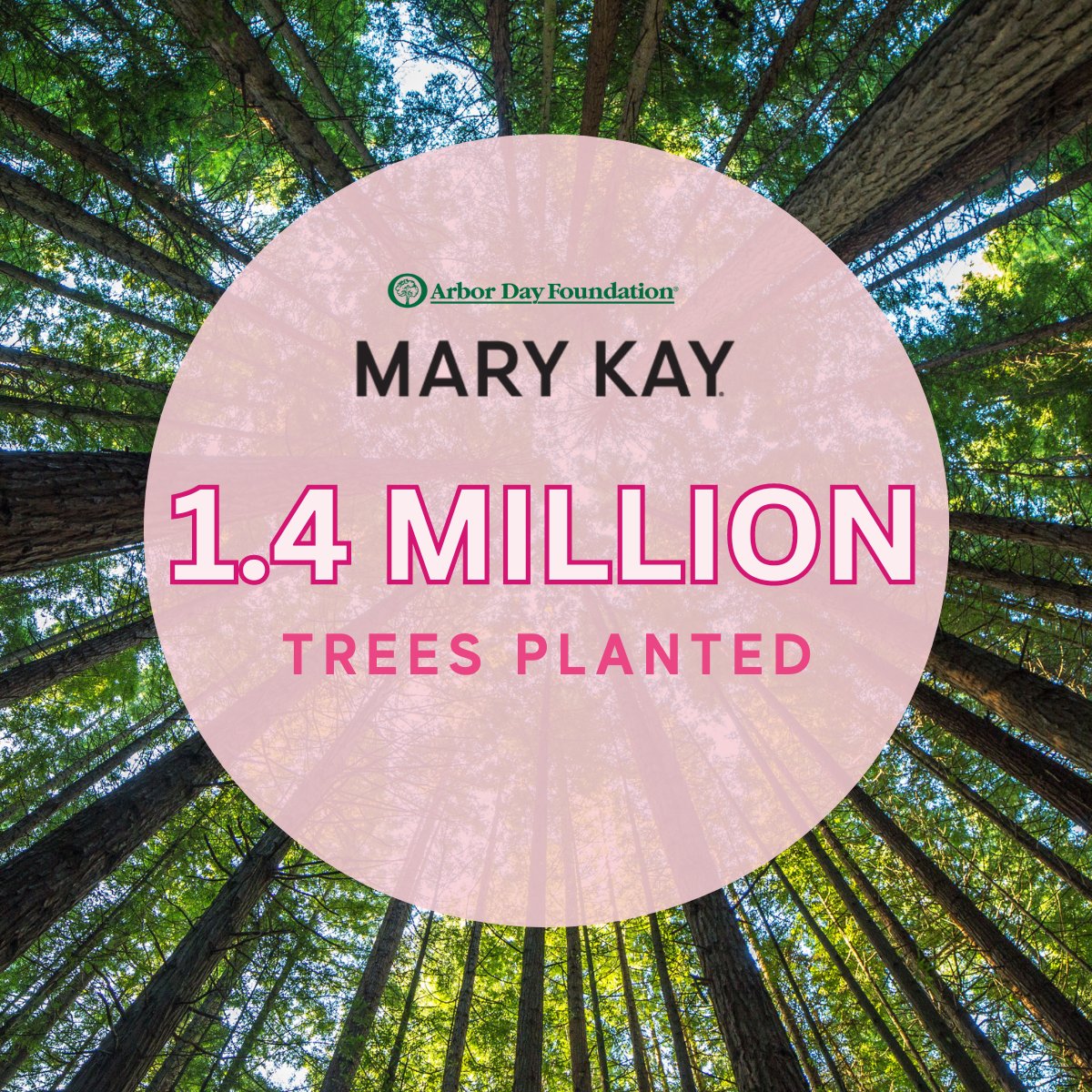 We can’t think of a better way to celebrate #ArborDay🌳 than with the @arbordayfoundation! Did you know that we have planted over 1.4 million trees around the world? 🌎 We’re thrilled to partner with Arbor Day Foundation for a 16th year.