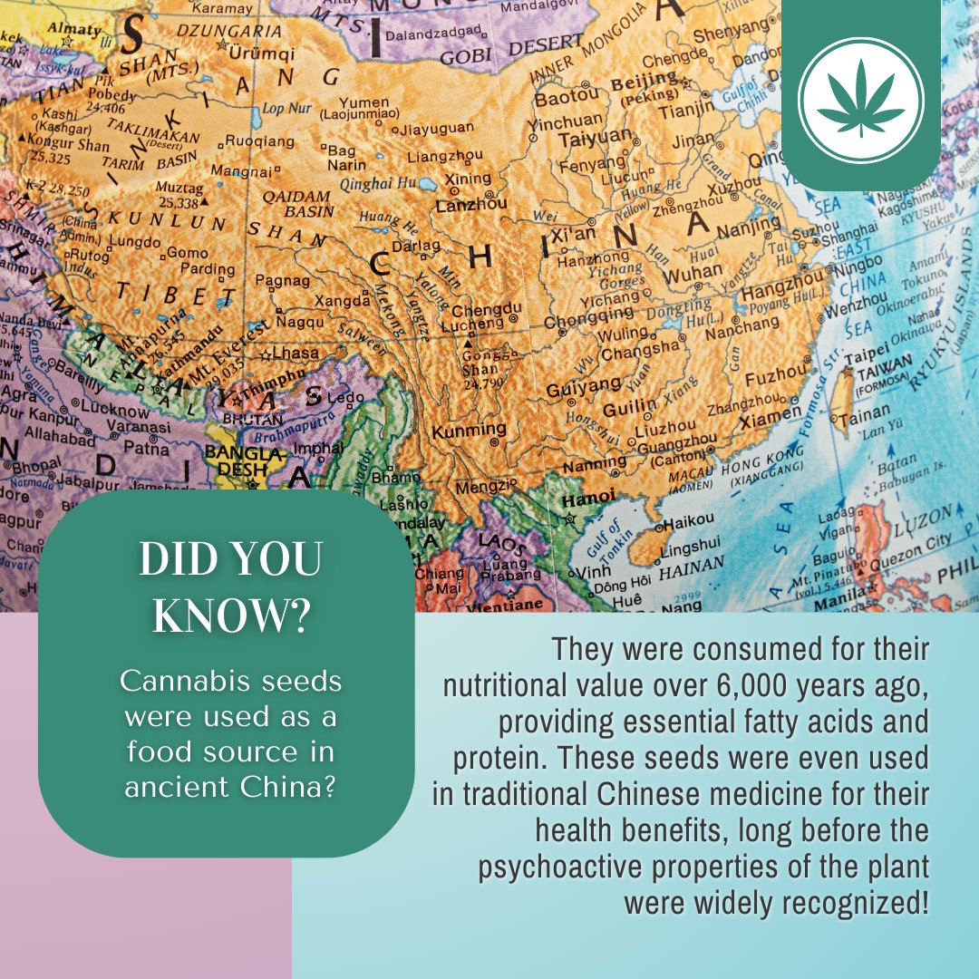 Unearthing the seeds of history, one fascinating fact at a time! 🌏✨ 

#AncientWisdom #HealthTrends #NutritionFacts #HistoricalFinds #WellnessJourney #Superfoods #DiscoverHistory #NatureNourishes #CulturalHeritage #FoodForThought