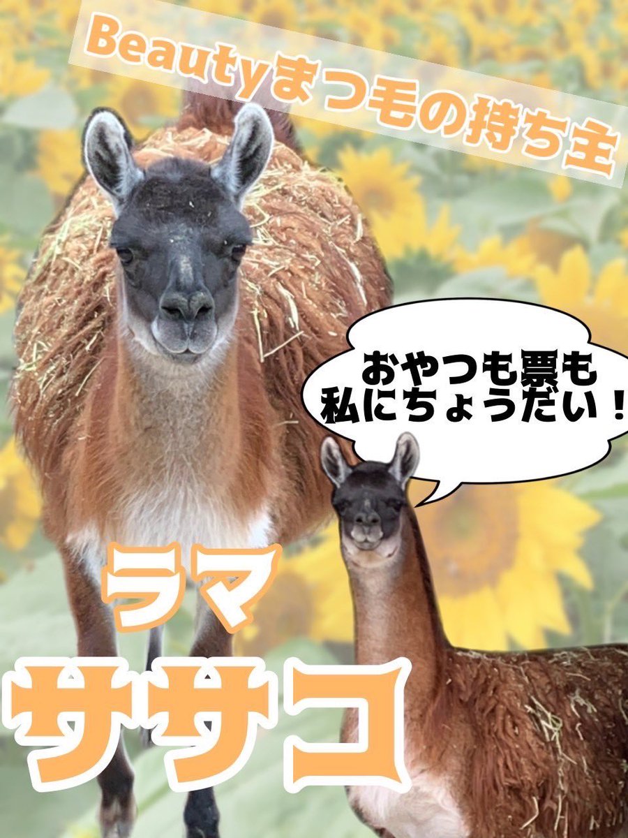 utsunomiya_zoo tweet picture