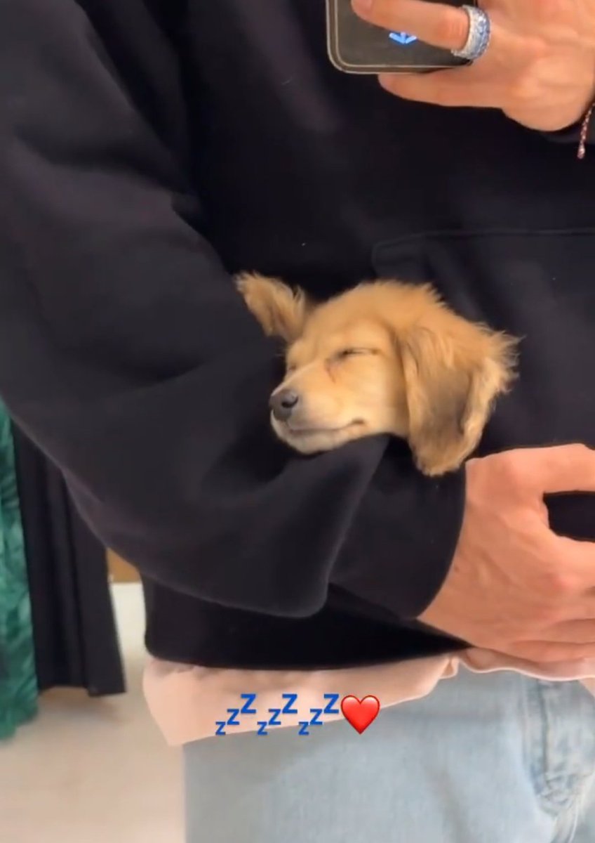 THE WAY HE'S SLEEPING IN CHARLES' HOODIE POCKET 😭😭😭 SHUT UP, ITS SO ADORABLE