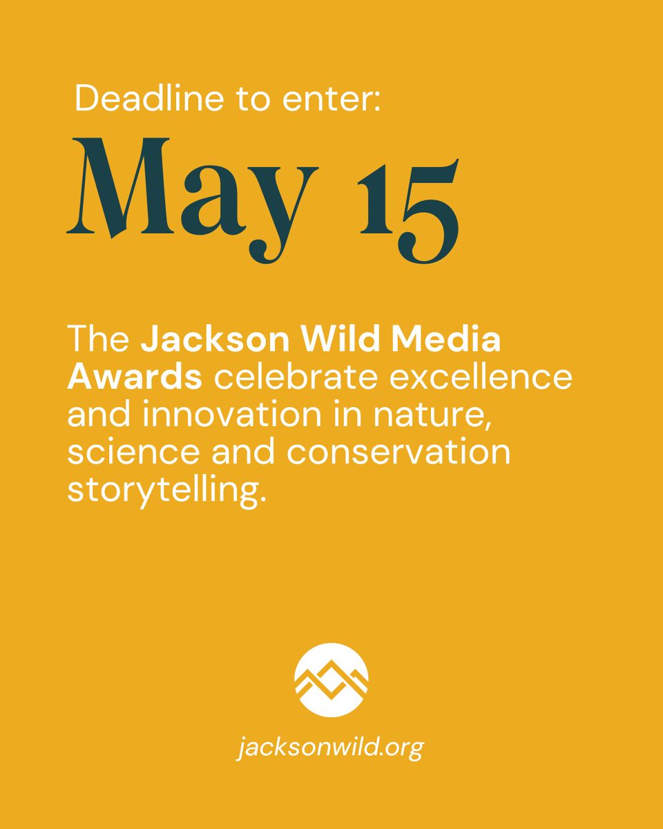 Enter your film in the 2024 @JacksonWild Media Awards, nature film's equivalent to the Oscars! Projects completed since June 1, 2023 are eligible; competition deadline is May 15, 2024. Learn more and enter at jacksonwild.org/2024-media-awa… 🎬