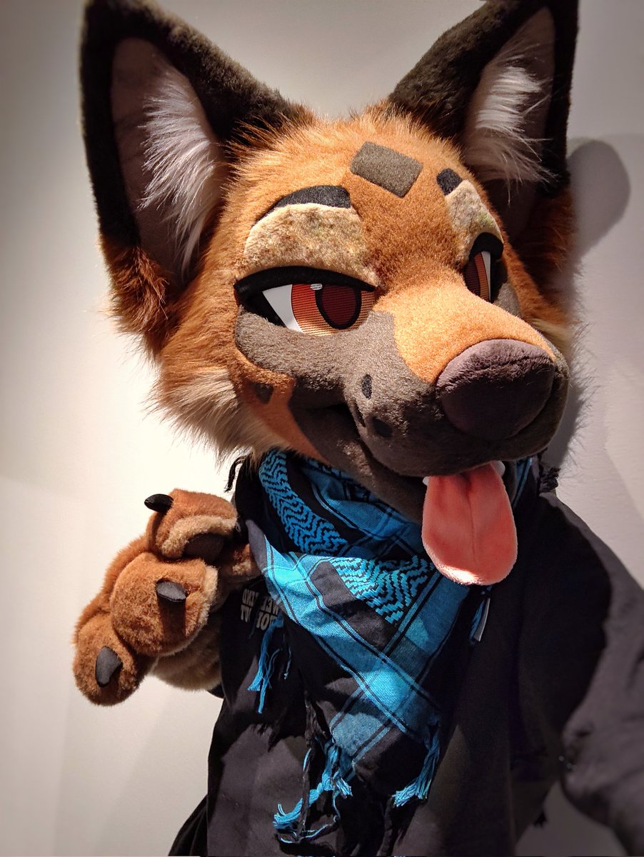 Feeling extra sheppy tonight! Wroof! 🦴 #FursuitFriday 🪡 • @AlphaLyncis