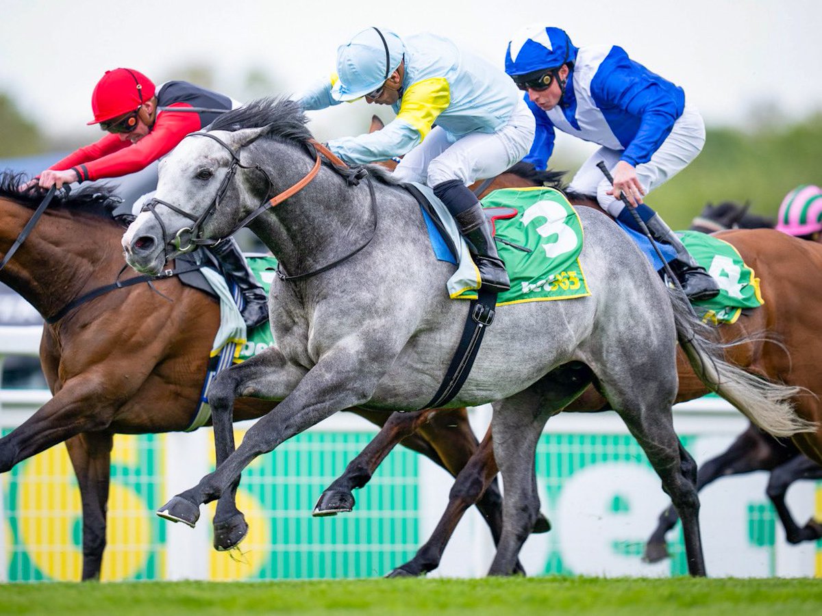 Gorgeous grey CHARYN (IRE) charges home in G2 bet365 Mile at Sandown for @varianstable, @NurlanBizakov & Silvestre De Sousa. 🩵 Third stakes win for G1-placed 4yo. Sired by @YeomanstownStud Dark Angel (IRE) & bred by @guy_oc. 🇮🇪