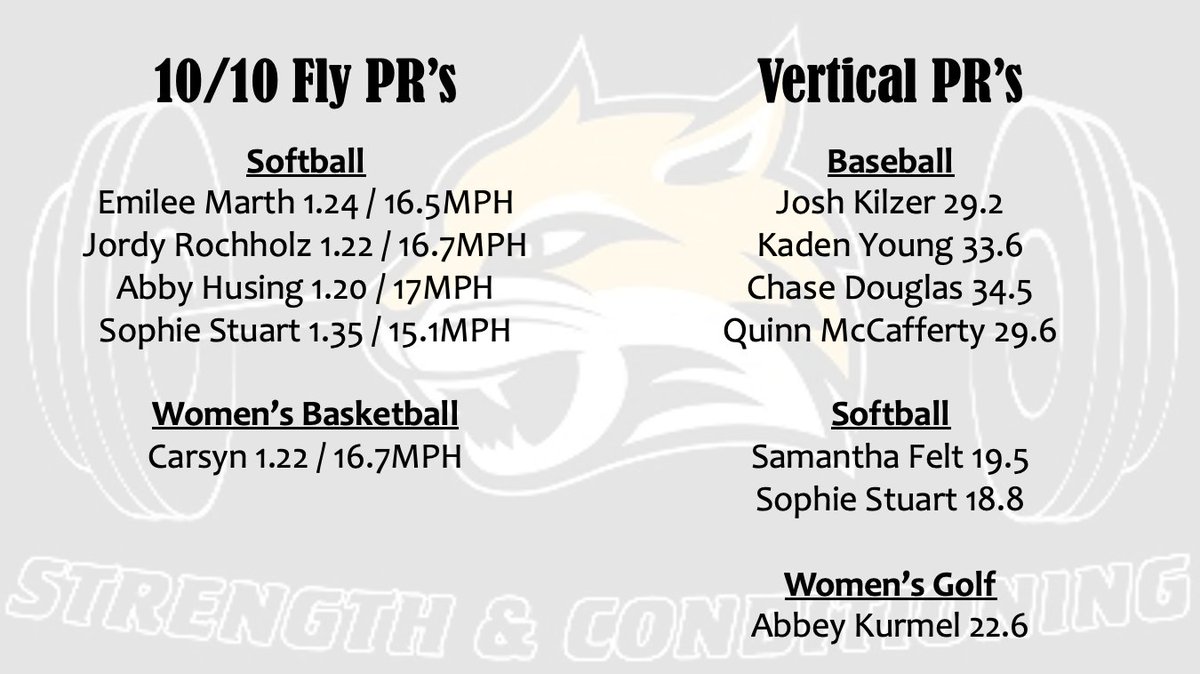 The Wildcats continue to preform at a HIGH STANDARD as we enter into finals week! ⚡️👩‍🎓👨‍🎓