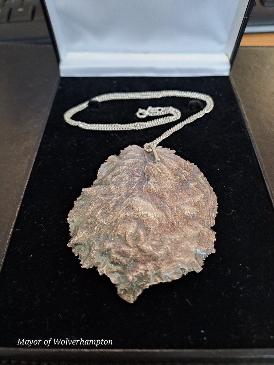 I'd like to draw your attention to a unique, hand-made piece of jewellery made by our very own Councillor Anwen Muston, which is for sale on Ebay this weekend. All proceeds to my charities ebay.co.uk/itm/1457383330…