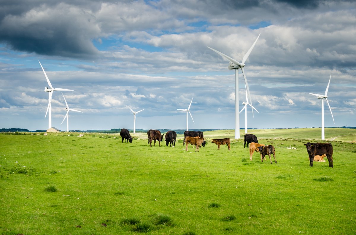 McGill Faculty of Engineering (@mcgill_eng) on Twitter photo Prof. Sarah Jordaan (Civil Engineering) and her research team have developed a new method of assessing the land use efficiency of wind farms: mcgill.ca/newsroom/chann…
<a href="/McGill_CIVE/">McGill_CIVE</a> Prof. Sarah Jordaan (Civil Engineering) and her research team have developed a new method of assessing the land use efficiency of wind farms: mcgill.ca/newsroom/chann…
<a href="/McGill_CIVE/">McGill_CIVE</a>