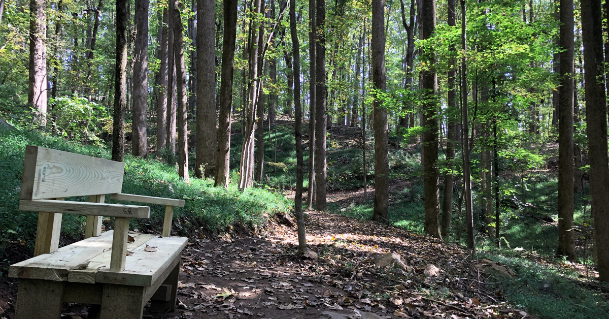 Join @CvilleRec next Wednesday, May 1st at 5 PM for a guided hike through the Heyward Forest! Learn how to identify native wildlife while appreciating our community's natural beauty 🏞️ Meet us at 1730 Reservoir Road. Look out for the red sign that says Heyward Community Forest!