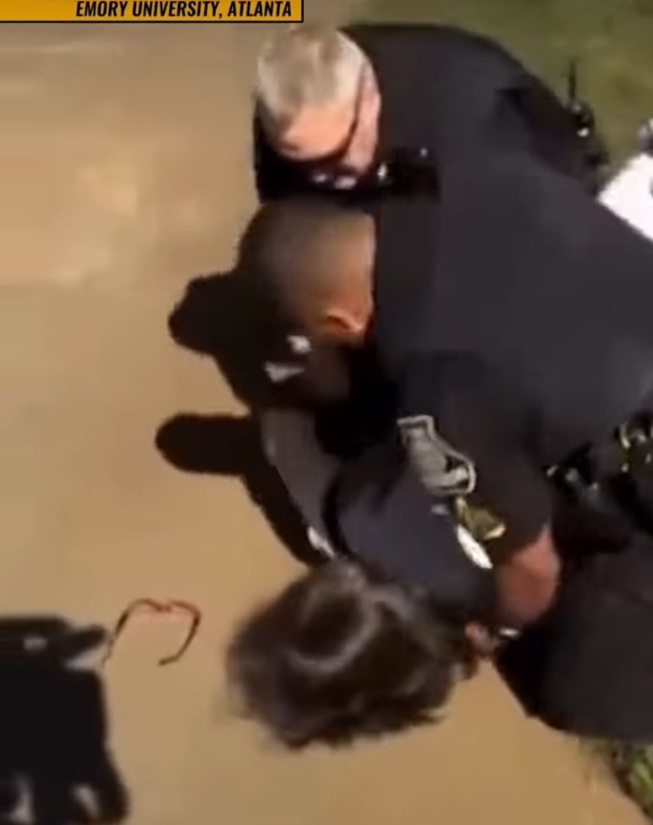 American police officers have the highest occupational rate of domestic violence in the country. Google “40 percent cops.”

If they get off doing this to a middle-aged professor of economics, just imagine what they get up to at home…