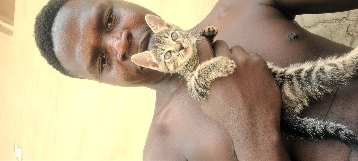 Becoming a cat dad 🫠☺️🥰
#cat #catdad #catlover #pets #petlovers