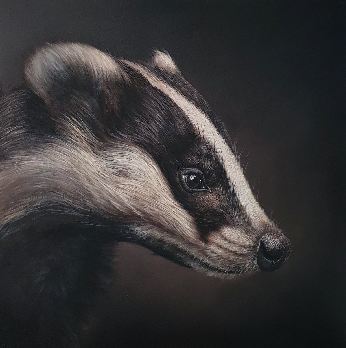 I love ending the week with a finished painting! I've been meaning to paint a badger for so long but I'm currently adding to my British Wildlife series for an upcoming exhibition so it seemed fitting to do it now. I'm stuck for a title...grateful for any suggestions? #badger