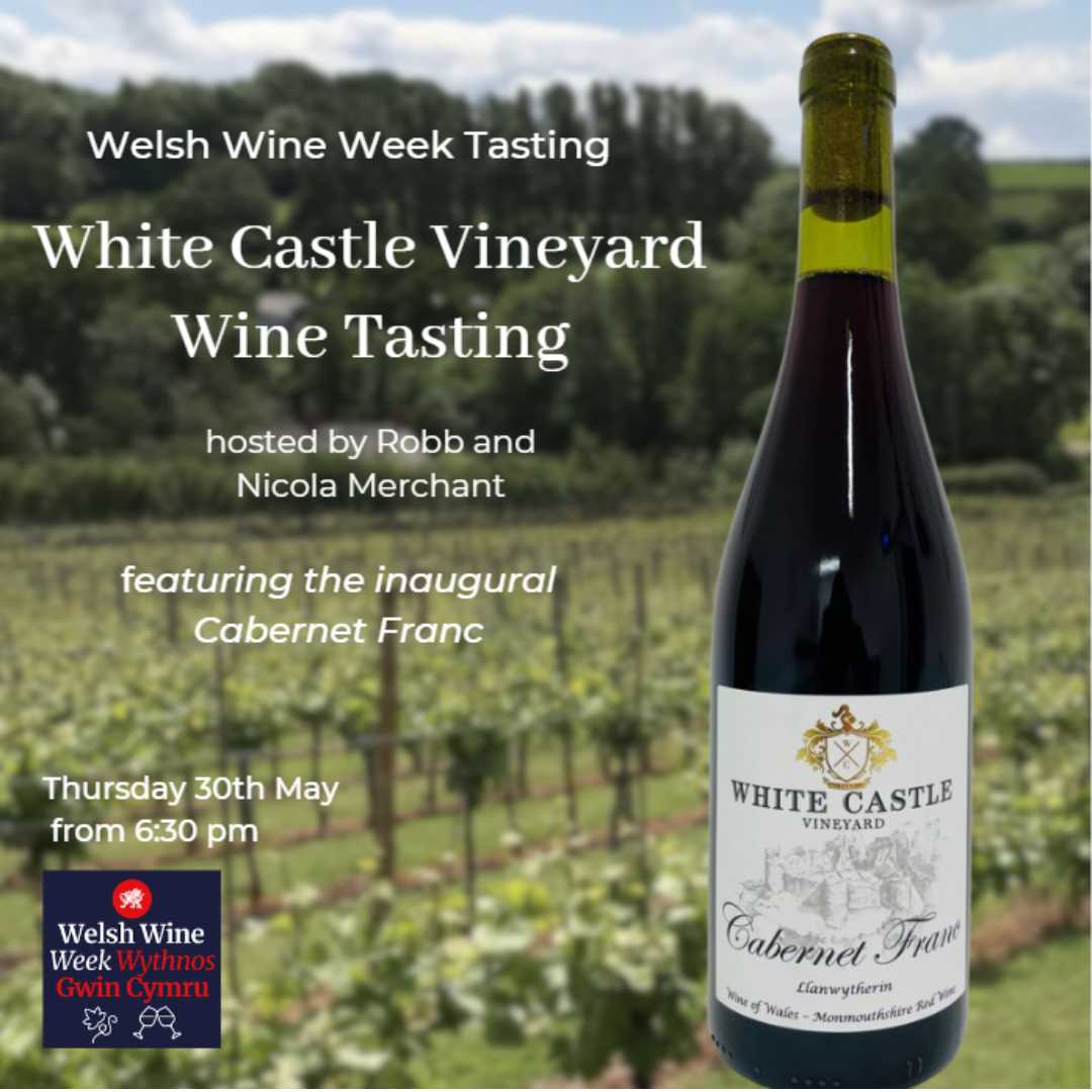 🍇𝐖𝐈𝐍𝐄 𝐓𝐀𝐒𝐓𝐈𝐍𝐆 𝐄𝐕𝐄𝐍𝐓𝐒🍇 We are delighted to host two wine-tasting events at our tasting rooms on Penarth Rd in Cardiff this May. Tickets are £20 and can be bought via our website: bit.ly/3WEOZ7y #WineTasting #Cardiff #WelshWineWeek #SouthAfricanWine