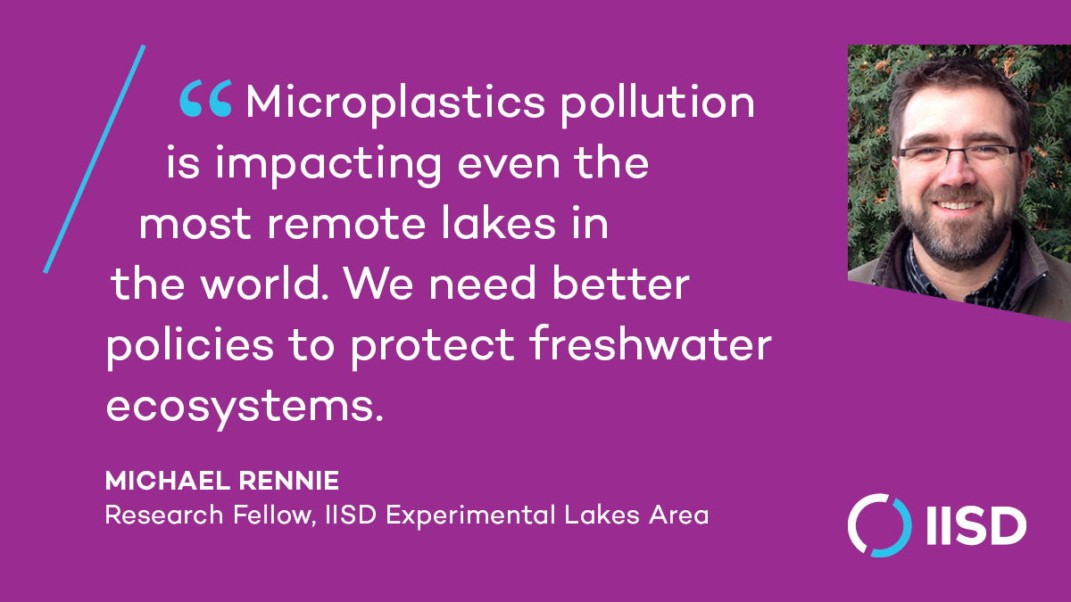 Research from @IISD_ELA highlights how pervasive microplastics are in fresh water, surpassing safe levels for aquatic wildlife. At #INC4, we want to see this addressed more explicitly and comprehensively. Read more ➡️ iisd.org/articles/press…
