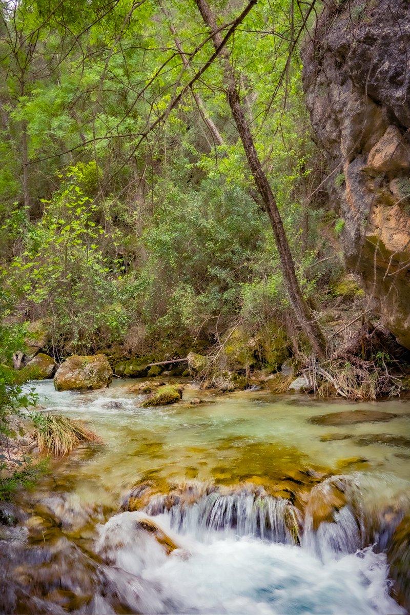 Río Aguamulas (Sierra de Cazorla, Jaén) #rioaguamulas #aguamulas #sierradecazorla #parquenaturaldecazorlaseguraylasvillas #jaen #andalucia #españa #Spain #paisaje #landscape #bosque #bosques #forests #bosquemediterraneo #rio #river #naturaleza #nature #primavera #spring