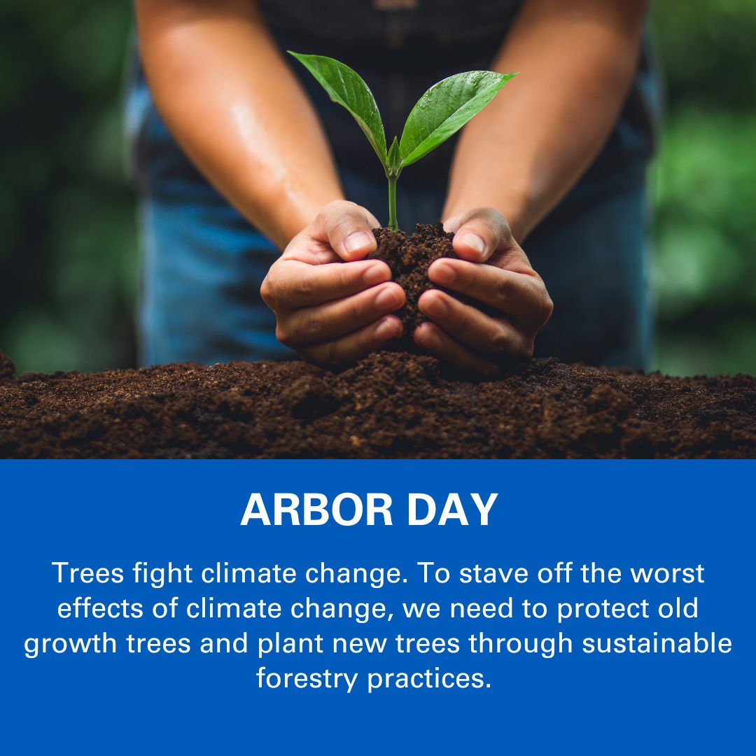 Happy #NationalArborDay! Today, let's recognize the importance of trees in fighting climate change and preserving our Earth. Join us in planting trees and making a difference for our planet.

For more on how trees help fight climate change, visit bit.ly/46lJqjs.