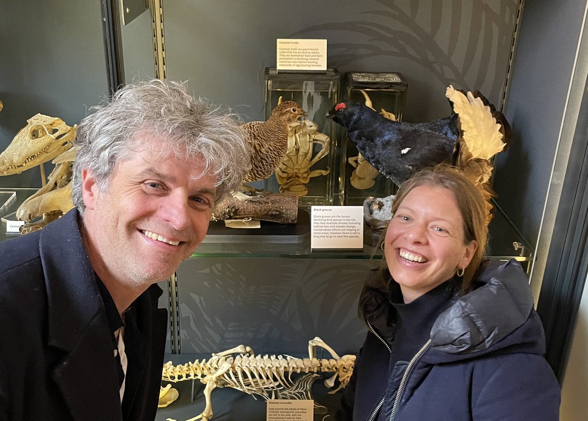 Pleased to welcome @jonrbridle and Julia Bressmer to @GrantMuseum today - the proud former parents/donors of our new black grouse specimens (affectionately known as the ‘Grice’). 🪶