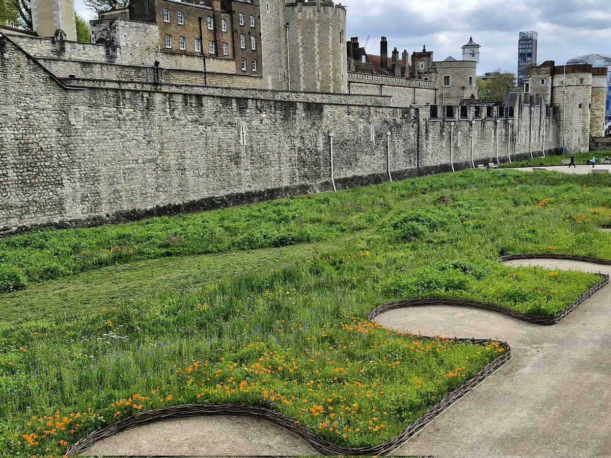 Lovely & sunny for this great group to explore the river path through the #CityofLondon on my #RiverThames walk for @Guided_Walks. A highlight is always the Queenhithe mosaic. At the end the wildflowers were starting to bloom at the #TowerofLondon.
#guidedwalk #visitthecity