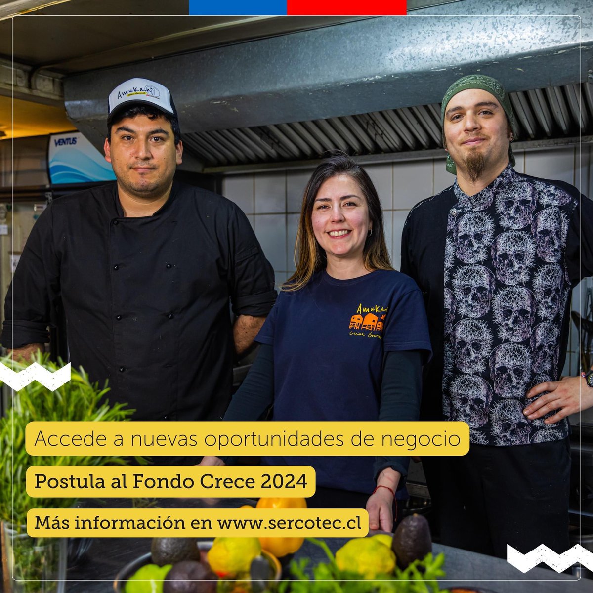 Accede a nuevas oportunidades de negocios con el #FondoCrece📈

Descarga las bases de acuerdo a tu región en sercotec.cl y postula hasta el 3 de mayo. No olvides leer muy bien la focalización regional.