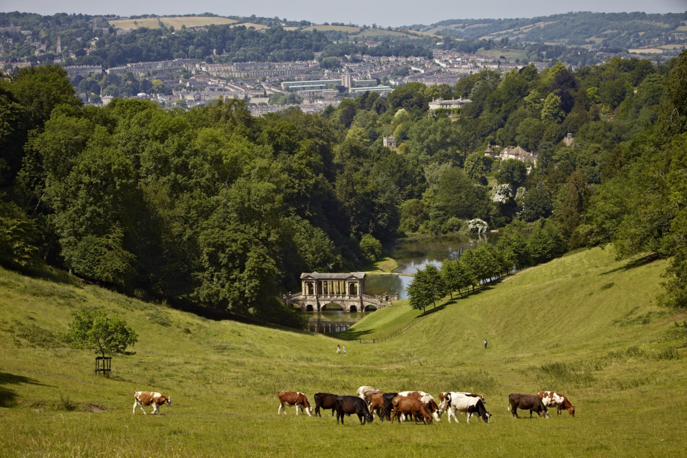 Overlooking stunning views of the World Heritage City, Prior Park in Bath is a beautiful 18th-Century landscape garden, offering tranquil walks across the sweeping valley. @NTinBath bit.ly/3d36QEj