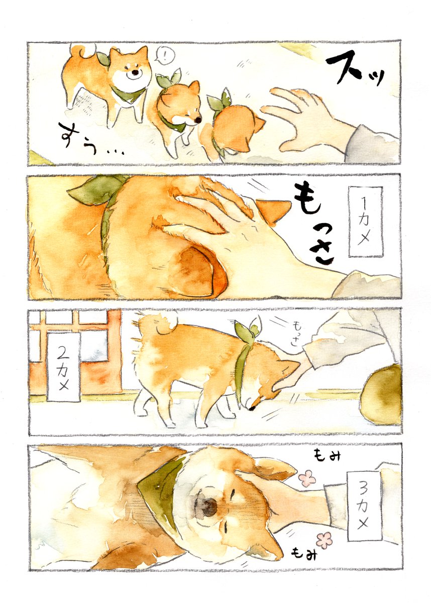 うっとり ＃柴犬　＃水彩