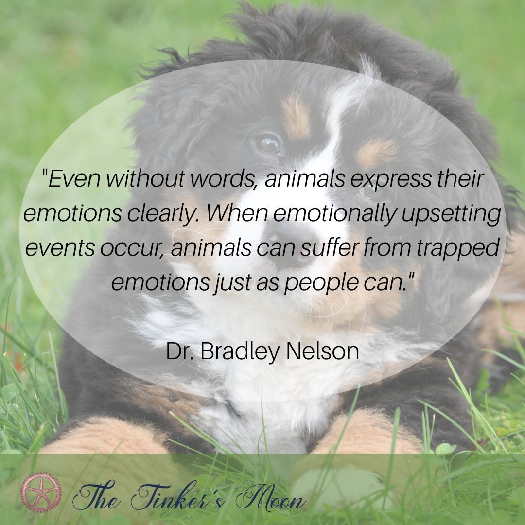 Animals feel emotions just like us. When pets experience stress or trauma, they can develop trapped emotions, impacting their well-being. Recognizing signs like aggression or lethargy is key. 🐾 #AnimalEmotions #PetWellness #HealthyPets #EmotionCode #BodyCode