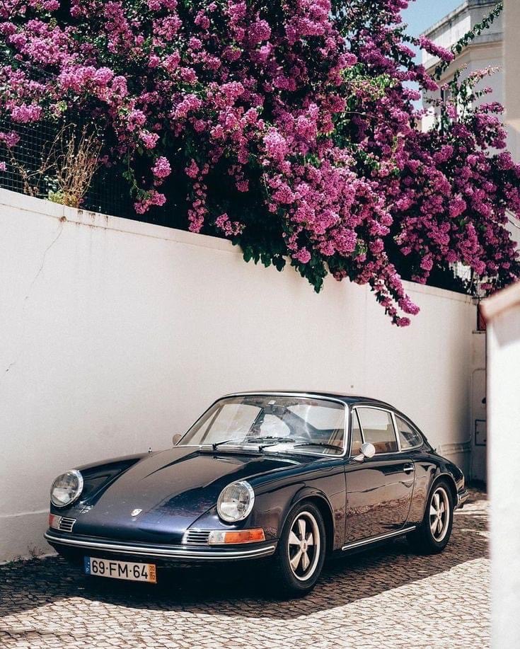 Classic beauty 🩷 #porscheclassic #porsche911 #classicbeauty