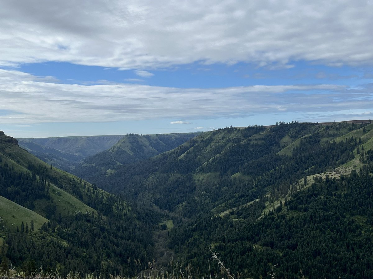 Idaho is a leading example of the important role of active forest management for conservation and forest health. As a trained forester, I’m proud to partner with @SenAngusKing to celebrate Arbor Day!