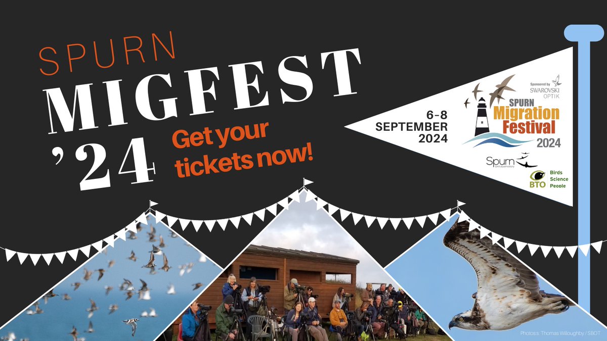 🚨🚨 MIGFEST 2024 TICKETS ARE ON SALE NOW 🚨🚨 Get your tickets to the premier birding event of the year here: shop.spurnbirdobservatory.co.uk/shop/category/…