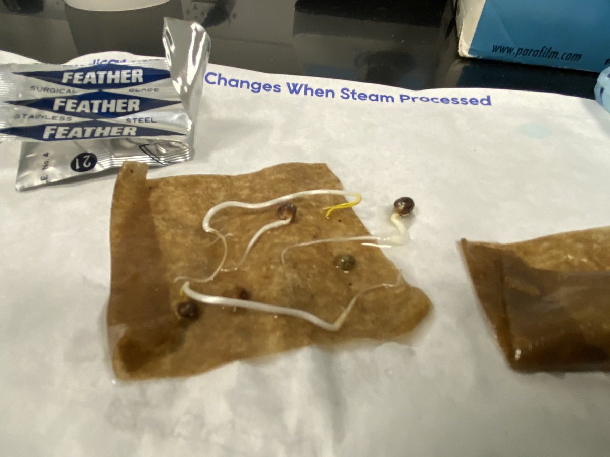 MidlandsTech's tweet image. Pretty cool Friday when South Carolina’s Reporter of the Year comes to @midlandstech to help tell our story about student research that is headed to the International Space Station. See more from 
@RachelR_Reports on @WLTX this evening. 

midlandstech.edu/news/student-r…