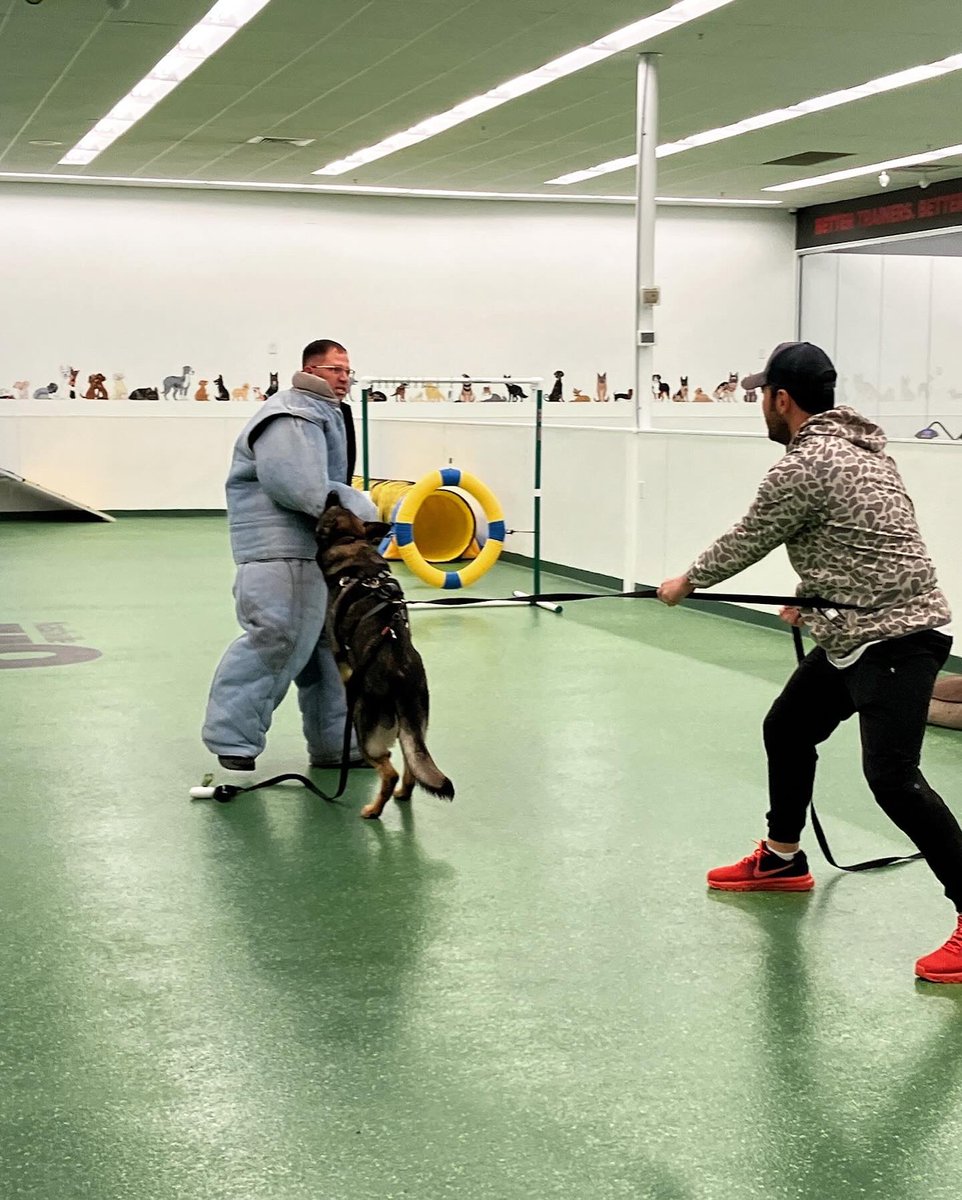 Coffee or dog bites? Both will get you going!

#middletn #nashville #germanshepherd #doberman #protection #executiveprotection #dogtraining #workingdogs #ouch #whoneedscoffee #whentheBESTmatters #NashvilleK9