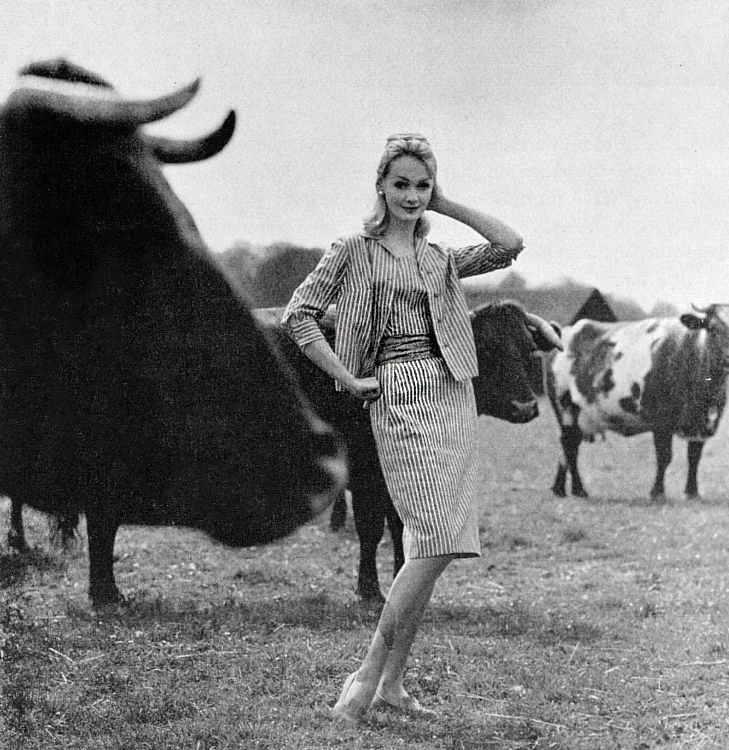 Standing among cows from the Disborough dairy herd on a farm in Oxfordshire is this model. She wears a two-piece, which was available from Woollands and Marshall & Snelgrove, and is photographed by Desmond Russell for The Tatler, 4 May 1960 bit.ly/4b4U3d9 #FridayFashion