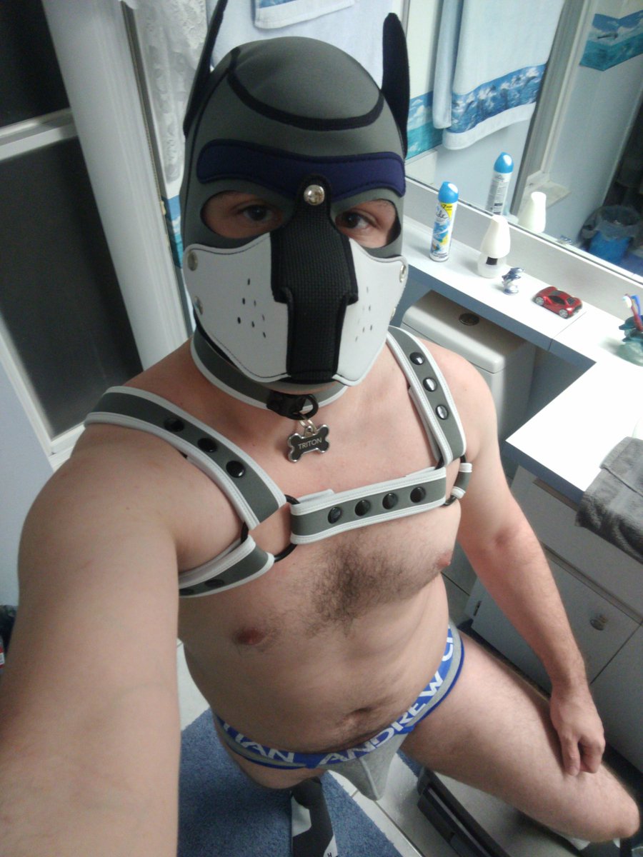 DatWolfTriton's tweet photo. Mirror pic chain
Tag 3 best Bois 🐺😘💙
@KryptonPup 
@AlphaPupArtemis 
@PupMystic https://t.co/DgdFEG3Hbc