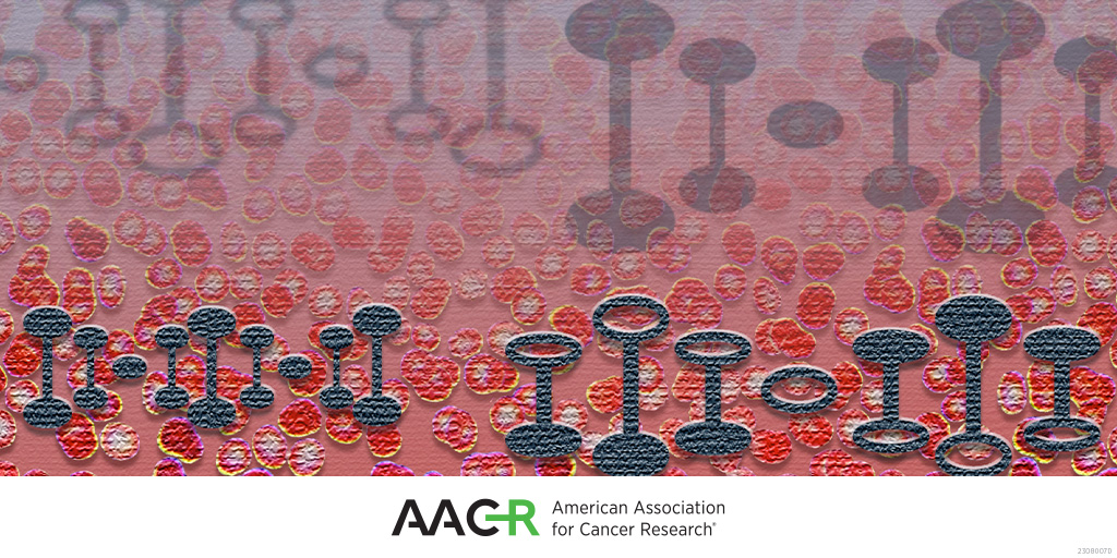 Read the abstracts from the AACR Blood Cancer Discovery Symposium here: bit.ly/3wcwW1s. #AACRbcd24