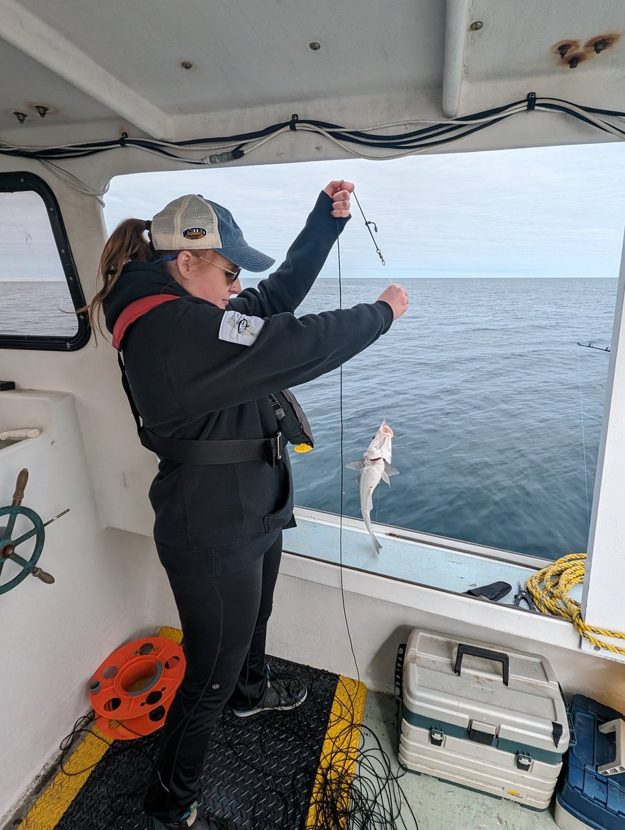 Yes. Can confirm. It's a fish. 
#FishFriday