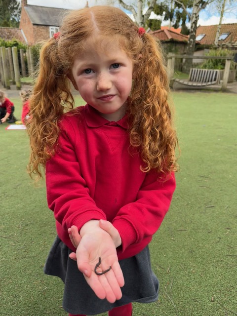 EYFS have been on a minibeast hunt today. We used our magnifying glasses to observe our minibeasts carefully and then we had a go at drawing them.