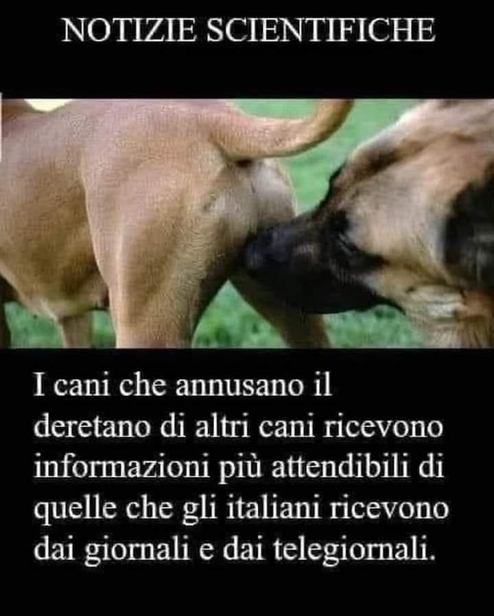 annamariamoscar's tweet image. 🤣🤣🤣🤣🤣